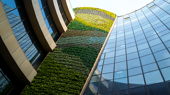 Integrating sustainable hotels into travel programmes 