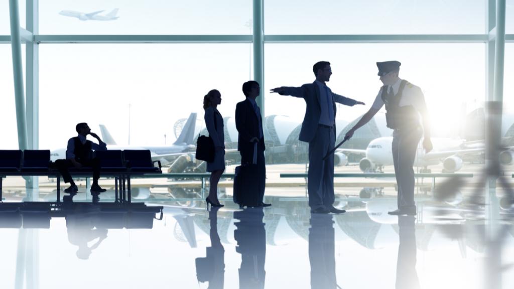 Full body security search