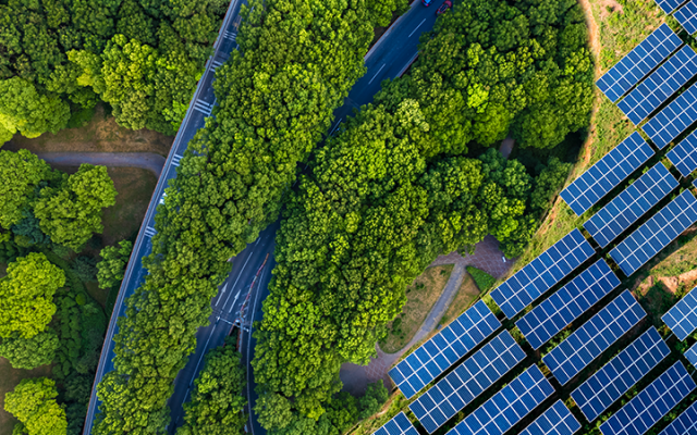 A road amongst trees and solo panels