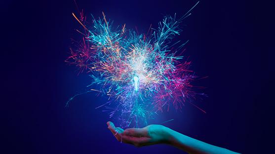 FCM-SUM-IDEX (1).jpg