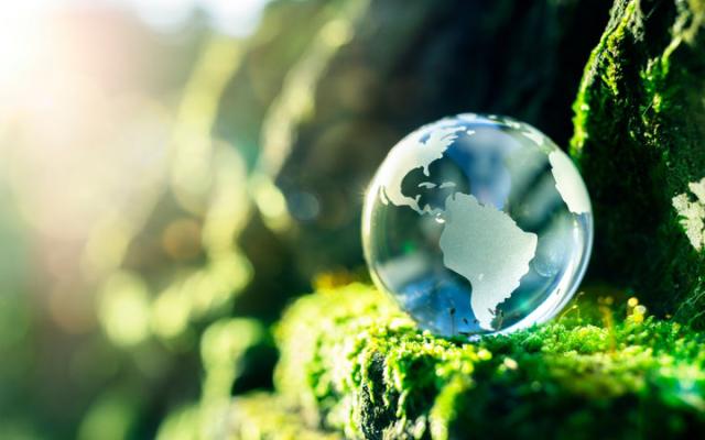 FCM puts sustainability at core of customer offering with new global net zero carbon offsetting programme