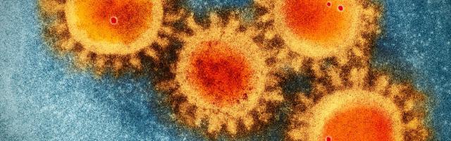 covid19 case study top banner