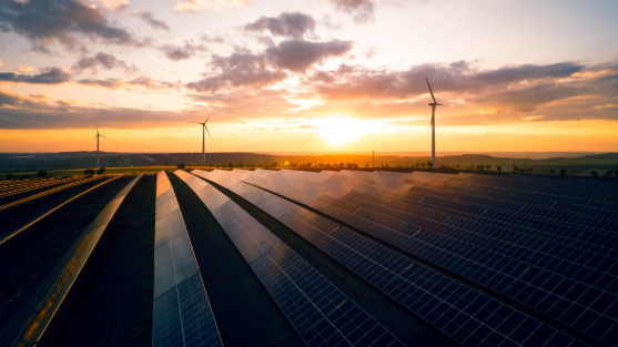 fcm-sum-engineering-business-sustainability-case-study