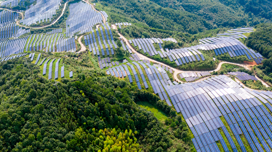 FCM M&E Sustainability article SUM.png