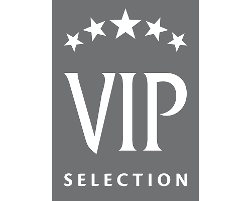 VIP icon
