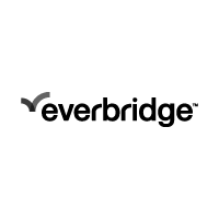 Black seagull silhouette in flight