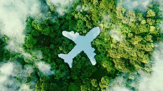 By adopting certifications, you have more confidence that a supplier has embedded sustainable practices