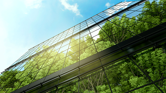 fcm-sum-sustainability-report